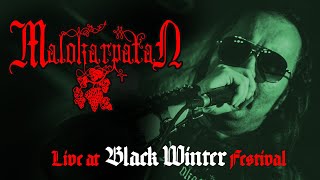 MALOKARPATAN  Live at Black Winter Festival I [upl. by Nylidam750]