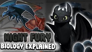 Night Fury Biology 🔥  Secrets of HTTYD’s Extinct Dragon [upl. by Ahtenek433]