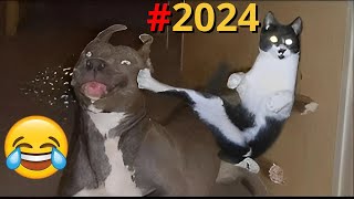 TENTE NÃO RIR  Melhores Memes e Vídeos Engraçados 2024 7 [upl. by Vashti]