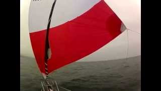 Race Practice or Daysail WD Schock Harbor 30 DaysailerPlus 2012 [upl. by Hedwiga]