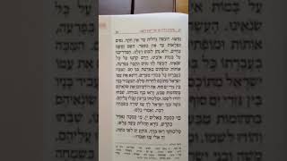 Nusach Maariv Rosh Hashana Efraim Hachazan  נוסח ערבית ראש השנה  אפרים החזן [upl. by Ahsek]