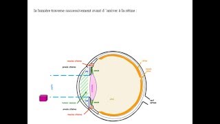 BIOPHYSIQUE Dioptrique Oculaire [upl. by Eadie790]