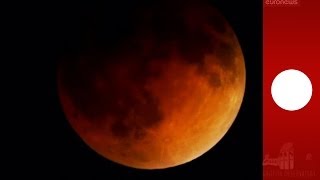 quotLune roussequot  timelapse de léclipse lunaire totale du 15 avril [upl. by Llehsad599]