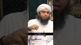 Islam ma munafa ki sharah  Engineer Muhammad Ali Mirza [upl. by Lennaj]