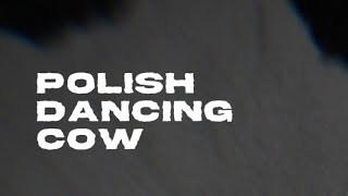 Dancing Polish Cow Cerds Remix [upl. by Adroj259]