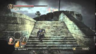 Dark Souls 2 Unlimited Soul Exploit or Glitch [upl. by Assetak]