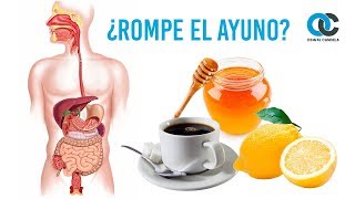 ¿Qué alimentos rompen el ayuno [upl. by Atikim]