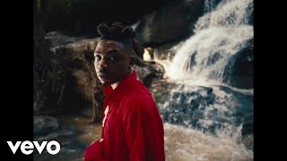 Mayorkun  Lowkey Official Music Video [upl. by Celia]