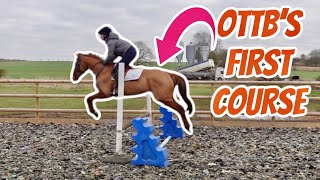 JUMP TRAINING AT HOME  LESSON 4  OTTB Retraining  Footluce Eventing [upl. by Animsay]