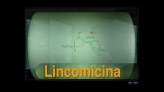 Tetraciclinas y Clindamicina [upl. by Artair403]