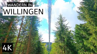 4K Wandern in Willingen  Skywalk Hängebrücke  Ettelsberg  Hochheideturm  Beautiful Impressions [upl. by Ainslie555]