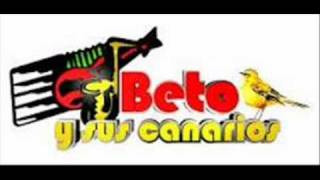 Tengo Ganas Beto y sus canarios [upl. by Friedrick]