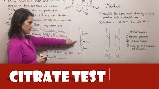 Citrate Test [upl. by Granville488]