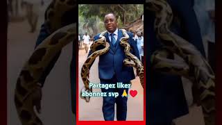 😅Wa mais kou def li🤣 senegal sénégal sonko diomayefaye assembléenationale team221 [upl. by Aeynod]