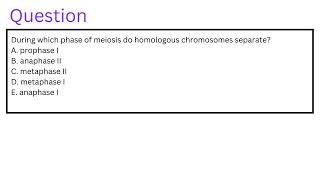 During which phase of meiosis do homologous chromosomes separate [upl. by Rubia]