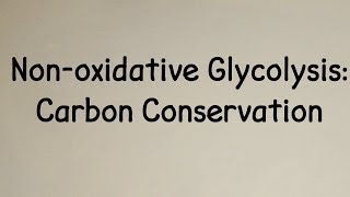 Nonoxidative Glycolysis Carbon Conservation [upl. by Ettenirt]