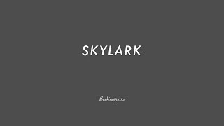 SKYLARK chord progression  Backing Track no piano [upl. by Ydaf338]