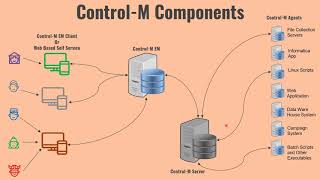 ControlM Architecture and Components [upl. by Hnil]