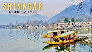 Srinagar Kashmir  Srinagar Tourist Places  Dal Lake  Houseboat  Srinagar Tour  Kashmir Tour [upl. by Swartz]