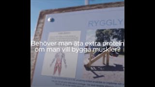 Behöver man äta extra protein om man vill bygga muskler [upl. by Wohlen458]