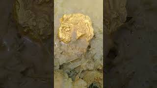 I got a heavy gold nugget in the river goldhunter getgold [upl. by Alohcin]