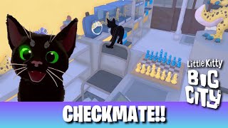 Little Kitty Big City  Checkmate Guide [upl. by Terbecki407]