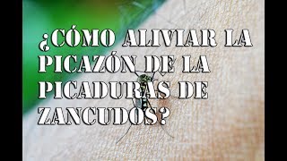 Cómo aliviar la picazón de la picaduras de Zancudos remedios para la comenzón [upl. by Felicity]