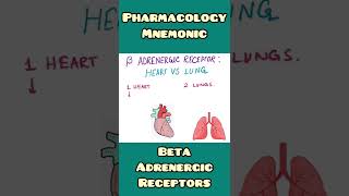 Beta Adrenergic Receptors on Heart vs Lung  mnemonic  Physiology Phafmacology shorts [upl. by Aidan]