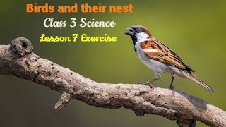 DAV class 3 science chapter 7 Birds and Thier Nests  Solution QuestionAnswer Class 3rd DAV School [upl. by Somisareg]