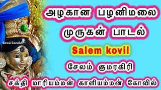 அழகான பழனிமலை முருகன் பாடல்  Beautiful Palanimalai Murugan song  சேலம் குமரகிரி [upl. by Ardnoik949]