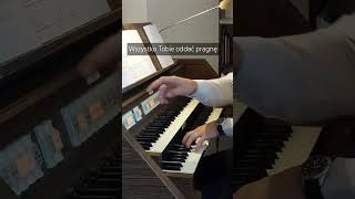 Wszystko Tobie oddać pragnę organy muzyka organista organ pieśń śpiew music [upl. by Aloel660]