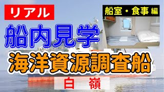 【リアル船内見学 船室・食事編】海洋資源調査船 白嶺 [upl. by Tamma723]