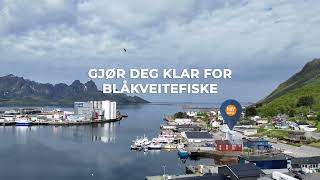 Gjør deg klar for blåkveitefiske Egersund amp Mustad Havservice AS [upl. by Ynatsed]