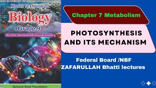 Class 9 Biology New Book Federal Board NBF CH7 Photosynthesis and its Mechanism [upl. by Erich944]