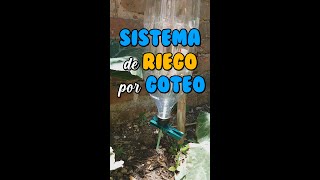 Como hacer un SISTEMA de RIEGO por GOTEO FÁCIL y RECICLABLE SHORTS [upl. by Penrod]