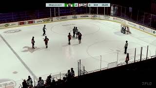 Hockey Broadcast Reel [upl. by Erbes865]