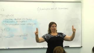 Broward College North Campus  Prof Eisenberg BSC1005 review Nov 30 [upl. by Lyudmila]