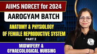 Anatomy amp Physiology of Female Reproductive System  Part 2  AIIMS NOCET 2024 [upl. by Ardnovahs]