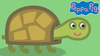 Meet Tiddles The Tortoise 🐷🐢 Peppa Pig Official Channel Family Kids Cartoons [upl. by Nynahs]