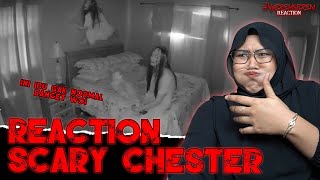 INI VIDEO TERANEH DAN SEREM quotSCARY CHESTERquot  nyeremserem reaction [upl. by Ellasal]