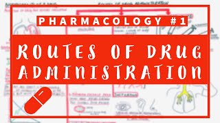 Pharmacology 1  Routes of Drug Administration and Bioavailability [upl. by Alleuol]