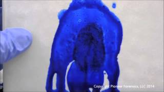 Coomassie Blue Bloody Fingerprint Development [upl. by Letram]