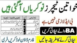 Teaching amp Non  Teaching Jobs 2024 Announced  Apply Free [upl. by Name924]