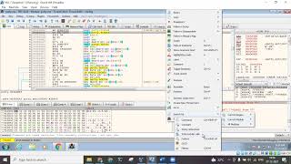 x32DBG disassembler demo using Putty [upl. by Kanor]