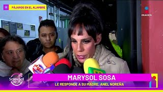 Marysol Sosa ACLARA pleito entre Anel Noreña y su esposo  Sale el Sol [upl. by Akinajnat]