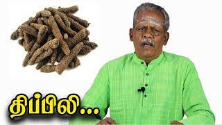 திப்பிலி கூட இதையெல்லாம் சேர்த்து சாப்பிடுங்க அப்புறம் பாருங்க  Piper Longum  Long Pepper Benefits [upl. by Merrie]