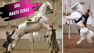 Spanish Riding School Haute Ecole Airs Above The Ground White Lipizzaner Stallions [upl. by Llerrej799]