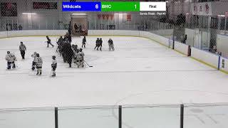 Whitney Wildcats  BHC  Sarnia Boys Finals U11 10U AA 2013  Pool GM 3 [upl. by Nahttam]