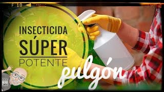 Cómo hacer INSECTICIDA súper eficaz 💪 contra el PULGÓN  Eliminar pulgones  insecticida orgánico🌱 [upl. by Fidelis]