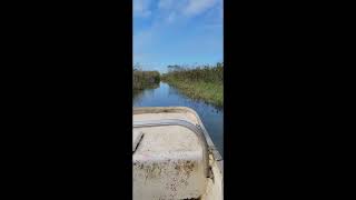 Everglades Alligator Farm part 1 travel [upl. by Polik52]